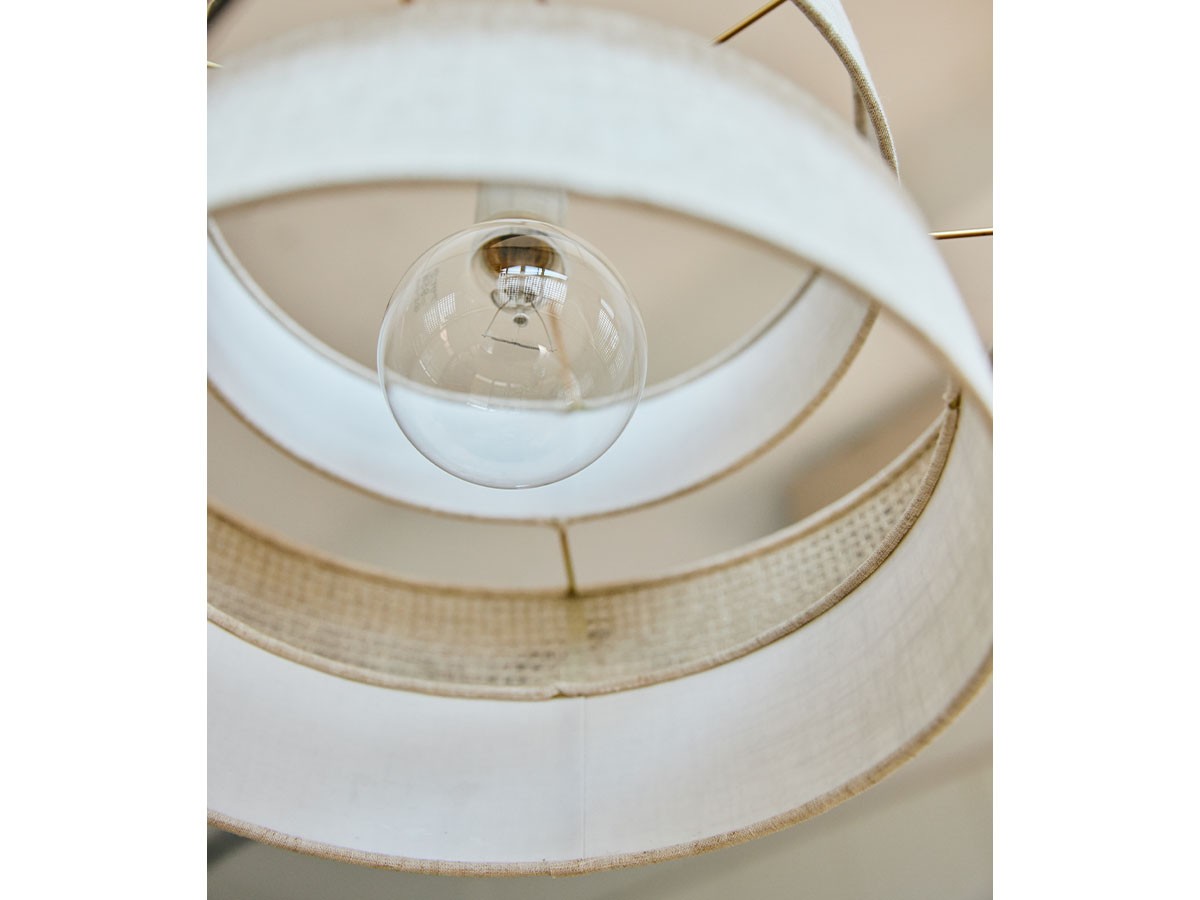 APROZ HECTOR / アプロス ヘクター （ライト・照明 > ペンダントライト） 9