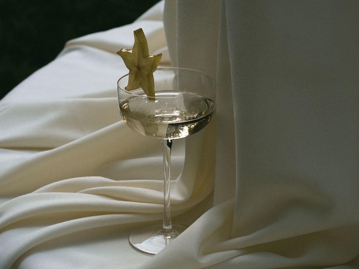 MIDNIGHT FLOWERS by MARNI
Champagne Coupe Anemone Vaniglia / ミッドナイトフラワーズ バイ マルニ
シャンパンクーペ アネモネバニラ （食器・テーブルウェア > ワイングラス・シャンパングラス） 24