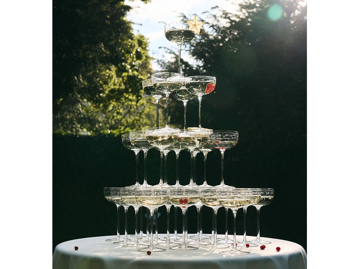 MIDNIGHT FLOWERS by MARNI
Champagne Coupe Anemone Vaniglia / ミッドナイトフラワーズ バイ マルニ
シャンパンクーペ アネモネバニラ （食器・テーブルウェア > ワイングラス・シャンパングラス） 19