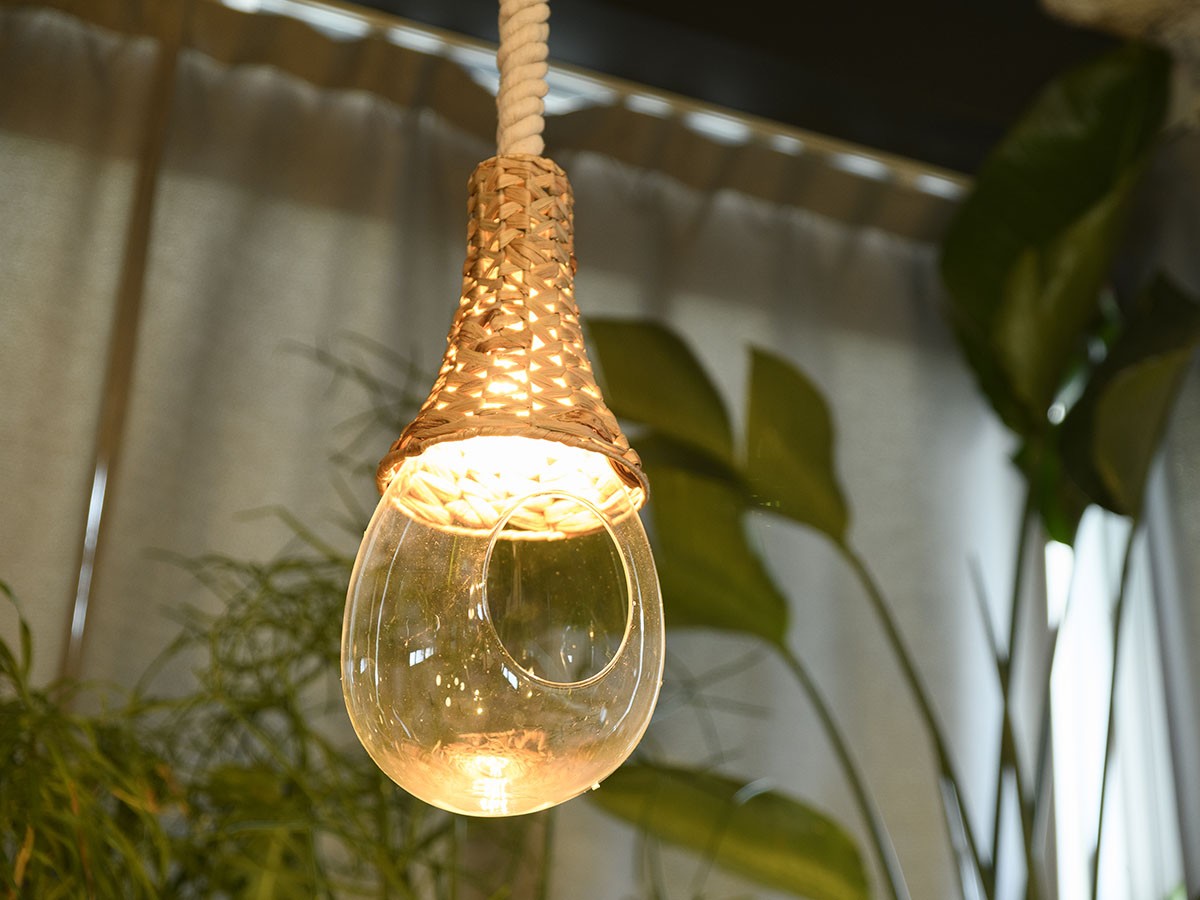 BOTANIC Hanging Basket Light / ボタニック ハンギングバスケットライト （ライト・照明 > ペンダントライト） 7