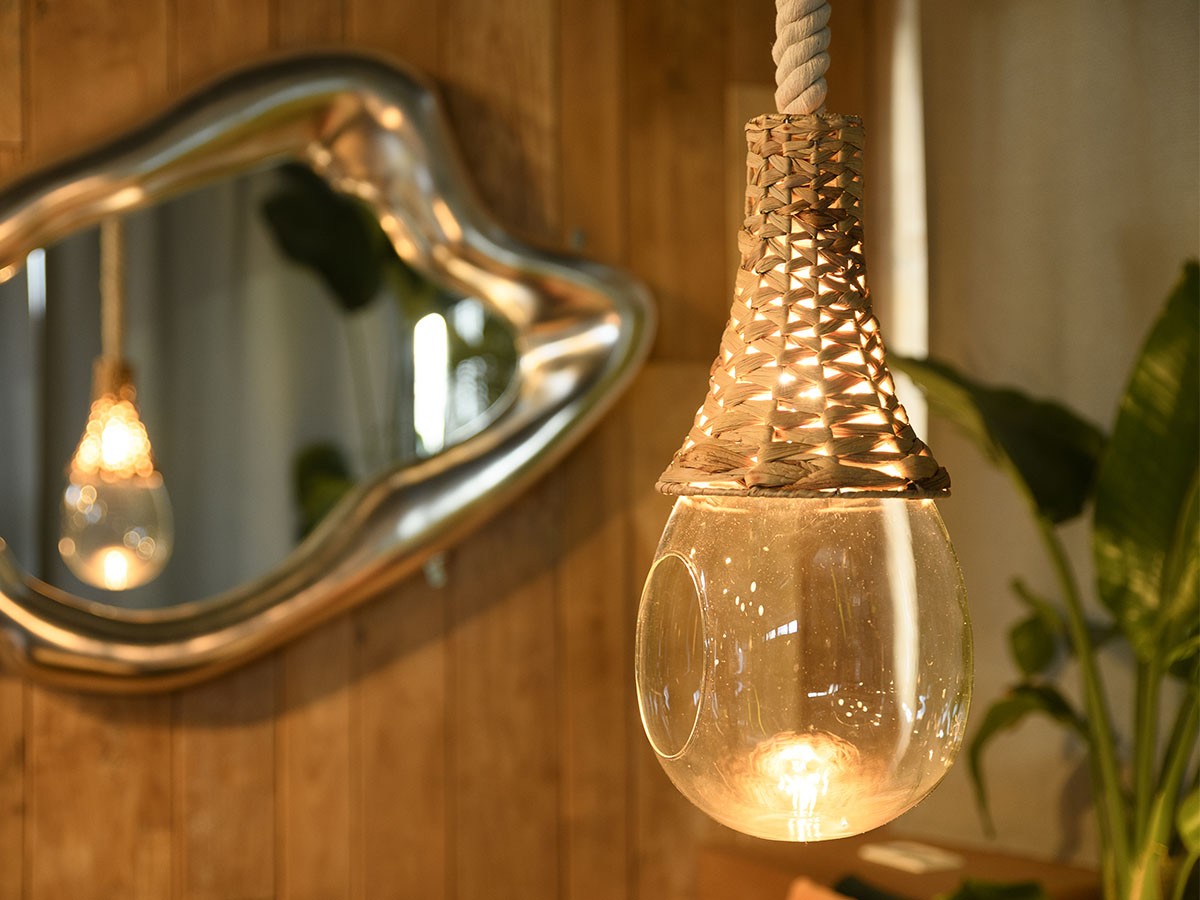 BOTANIC Hanging Basket Light / ボタニック ハンギングバスケットライト （ライト・照明 > ペンダントライト） 6