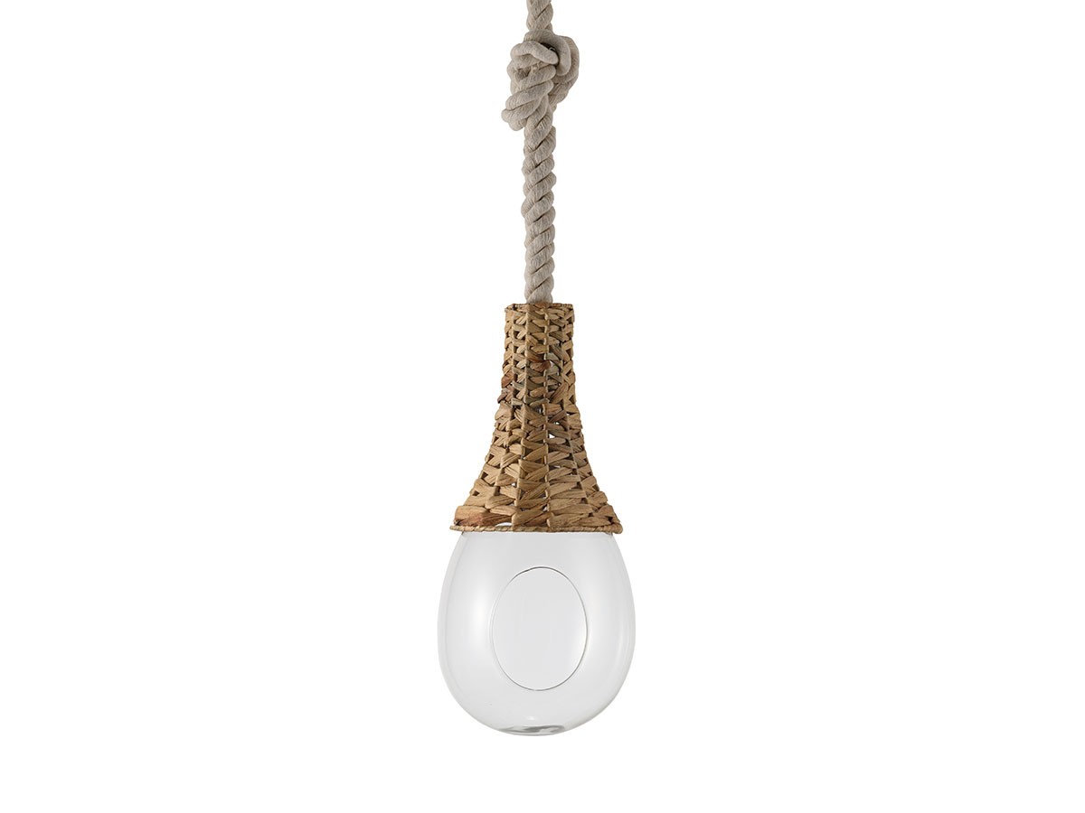 FLYMEe Parlor BOTANIC Hanging Basket Light