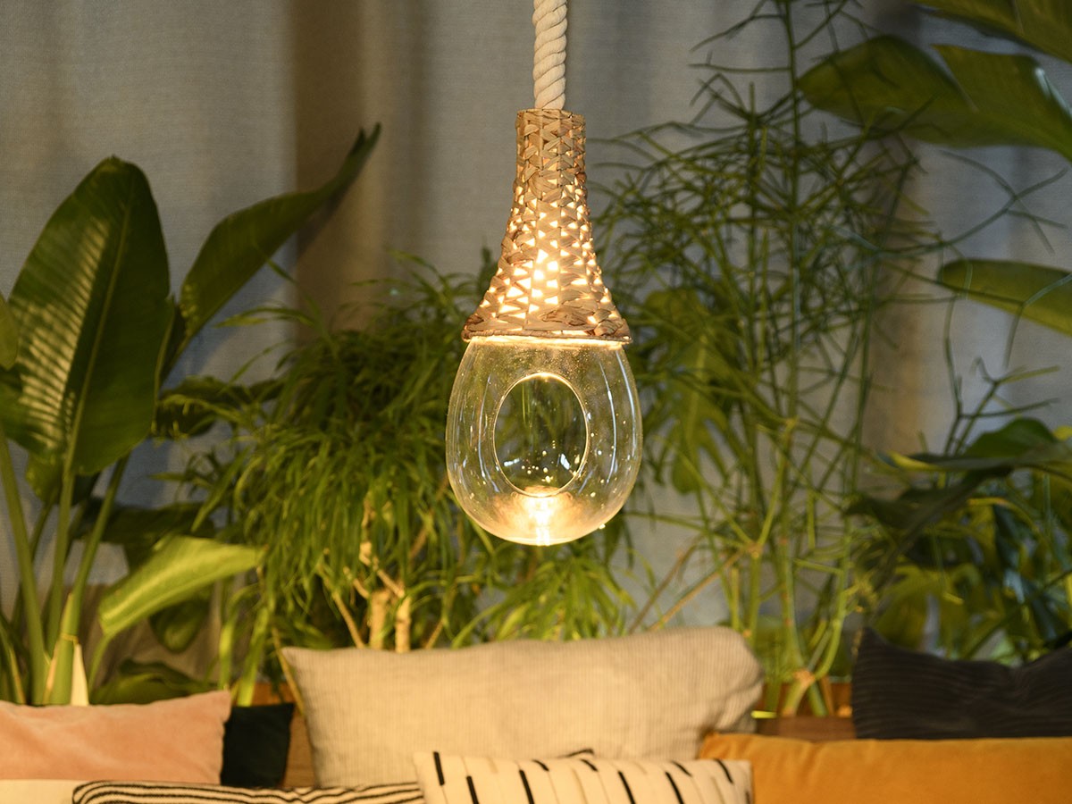 BOTANIC Hanging Basket Light / ボタニック ハンギングバスケットライト （ライト・照明 > ペンダントライト） 4