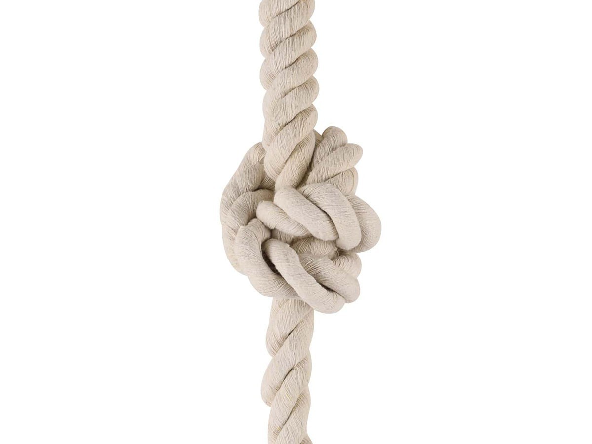 BOTANIC Hanging Basket Light / ボタニック ハンギングバスケットライト （ライト・照明 > ペンダントライト） 11