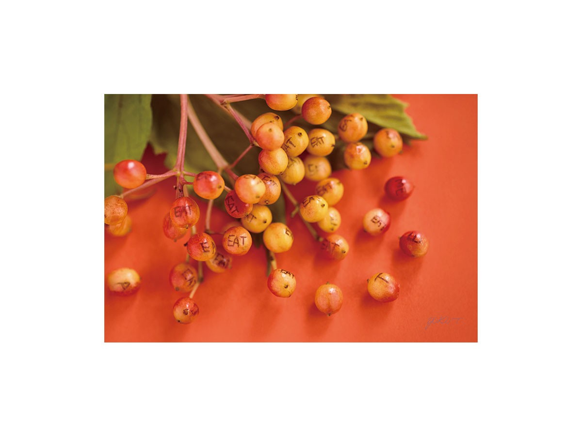 Food inspiered Eat Me