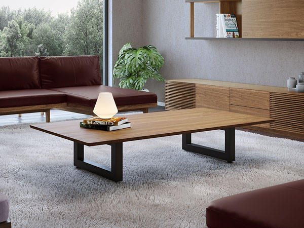 MASTERWAL WILDWOOD LIVING TABLE / マスターウォール ワイルドウッド