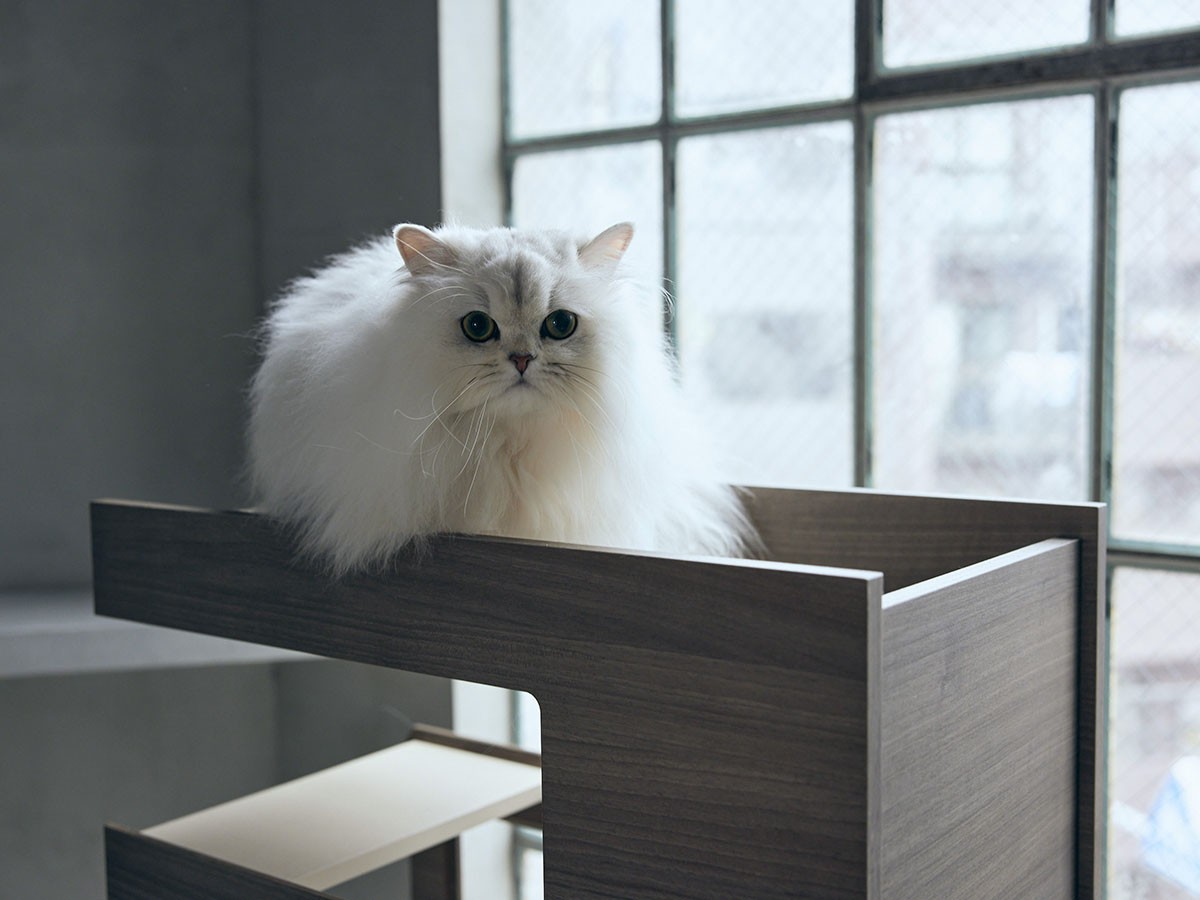 FRANCE PET Cat Tower Partition / フランスペット キャットタワー パーテーション （雑貨・その他インテリア家具 > ペット用品・家具） 10