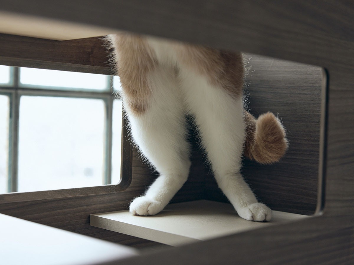 FRANCE PET Cat Tower Partition / フランスペット キャットタワー パーテーション （雑貨・その他インテリア家具 > ペット用品・家具） 8