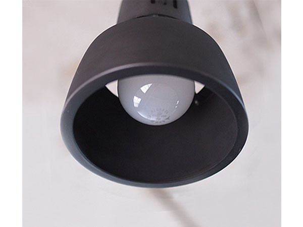 Harmony-remote ceiling lamp 11