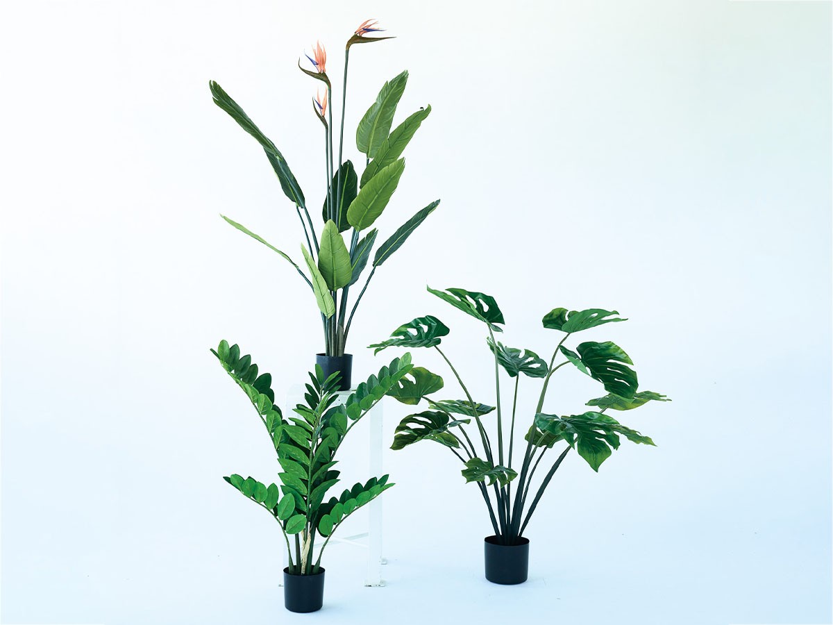 BROWN Monstera Pot / ブラウン モンステラ ポット 97 （花器・プランター・グリーン > フェイクグリーン・フェイクフラワー） 5