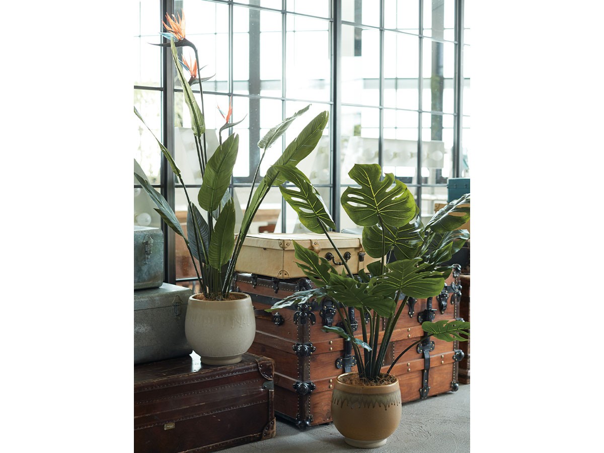 BROWN Monstera Pot / ブラウン モンステラ ポット 97 （花器・プランター・グリーン > フェイクグリーン・フェイクフラワー） 2