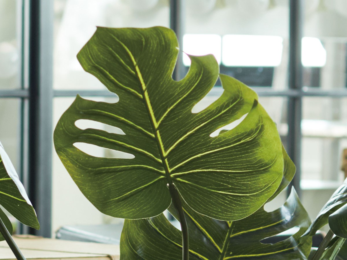 BROWN Monstera Pot / ブラウン モンステラ ポット 97 （花器・プランター・グリーン > フェイクグリーン・フェイクフラワー） 3