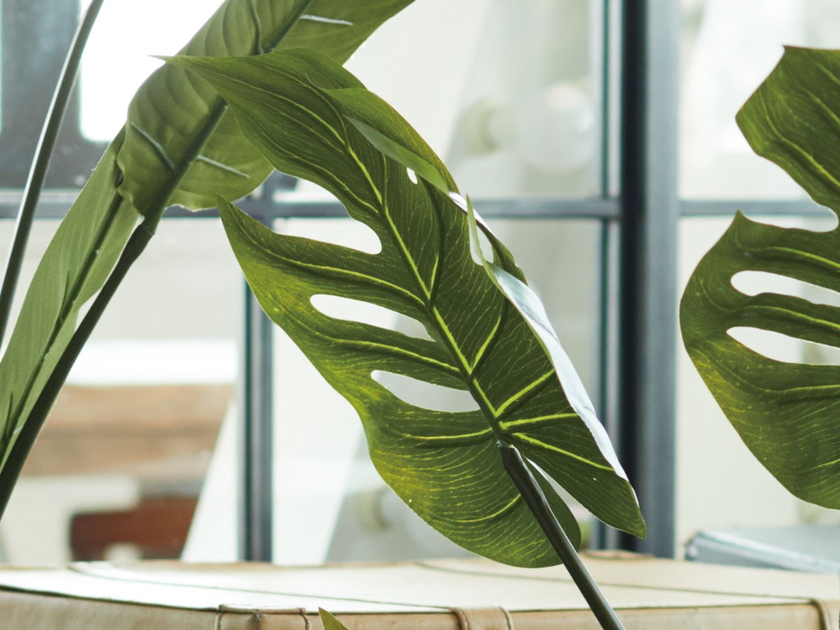 BROWN Monstera Pot / ブラウン モンステラ ポット 97 （花器・プランター・グリーン > フェイクグリーン・フェイクフラワー） 4