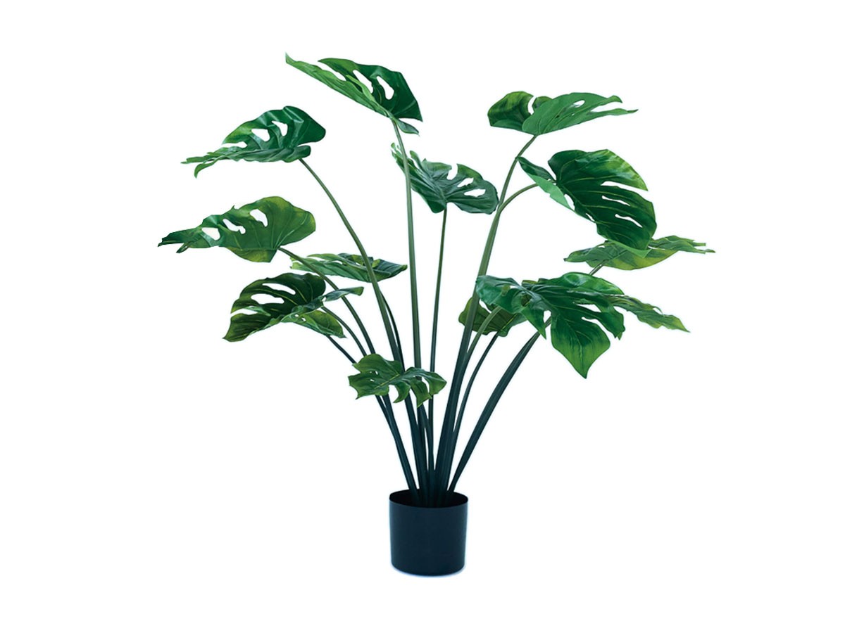 BROWN Monstera Pot