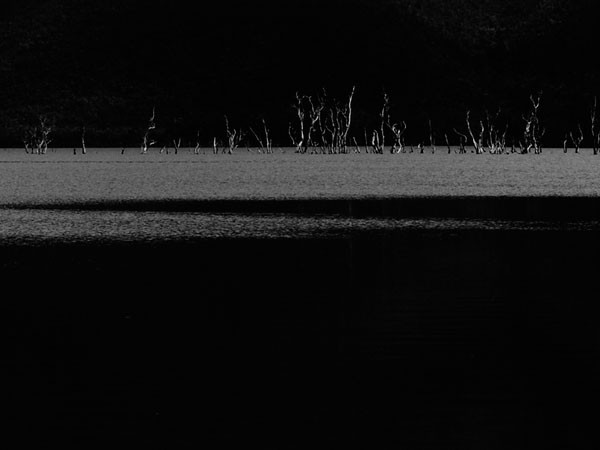 IGREBOW ニューカレドニア
ヤテ湖 / アイグレボゥ ニューカレドニア
ヤテ湖 1 × 2［ 1-612-16 ］ （オブジェ・アート > アート） 6