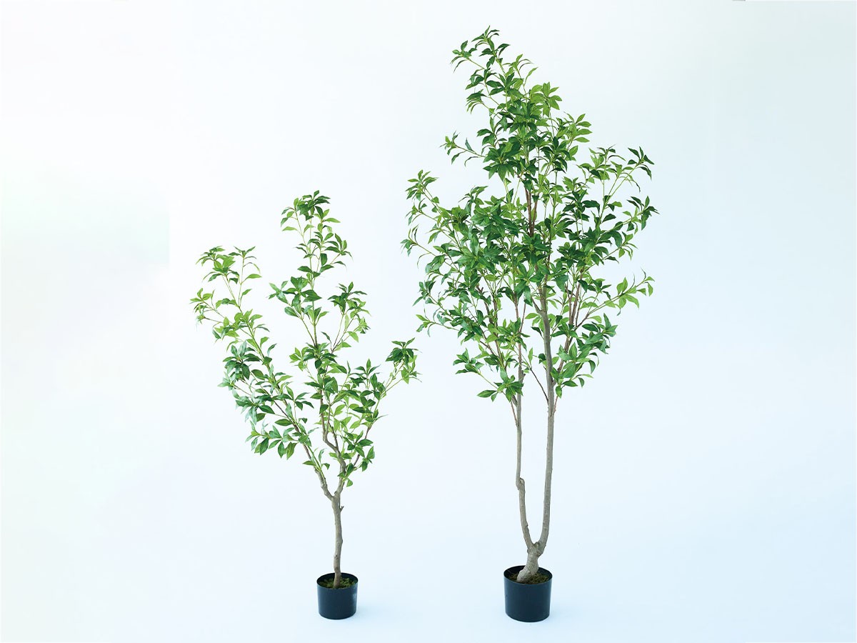 BROWN Japanese Andromeda Pot / ブラウン アセビ ポット 150 （花器・プランター・グリーン > フェイクグリーン・フェイクフラワー） 2