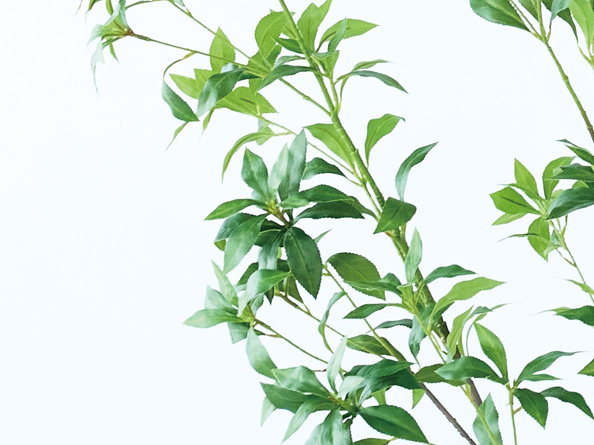 BROWN Japanese Andromeda Pot / ブラウン アセビ ポット 150 （花器・プランター・グリーン > フェイクグリーン・フェイクフラワー） 3
