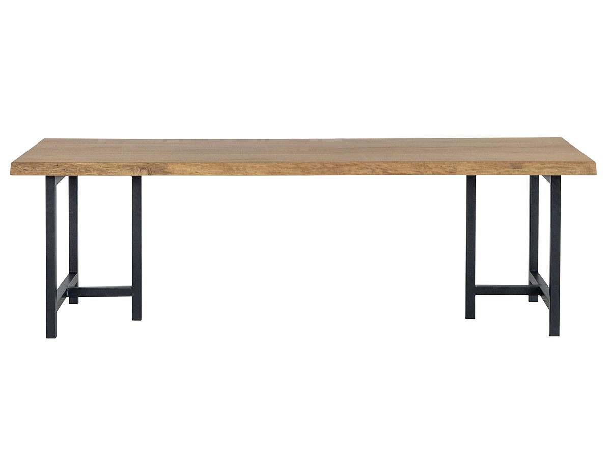 Easy Life SOLIT DINING TABLE / イージーライフ ソリット ダイニングテーブル
ライブエッジ天板 + 鉄脚 （テーブル > ダイニングテーブル） 31