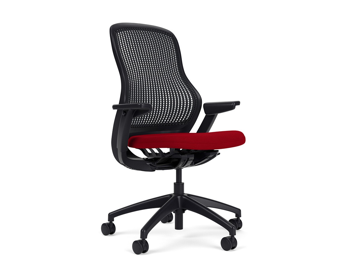 Knoll Office ReGeneration Chair / ノルオフィス リジェネレーション チェア ハイトアジャスタブル肘 （チェア・椅子 > オフィスチェア・デスクチェア） 6