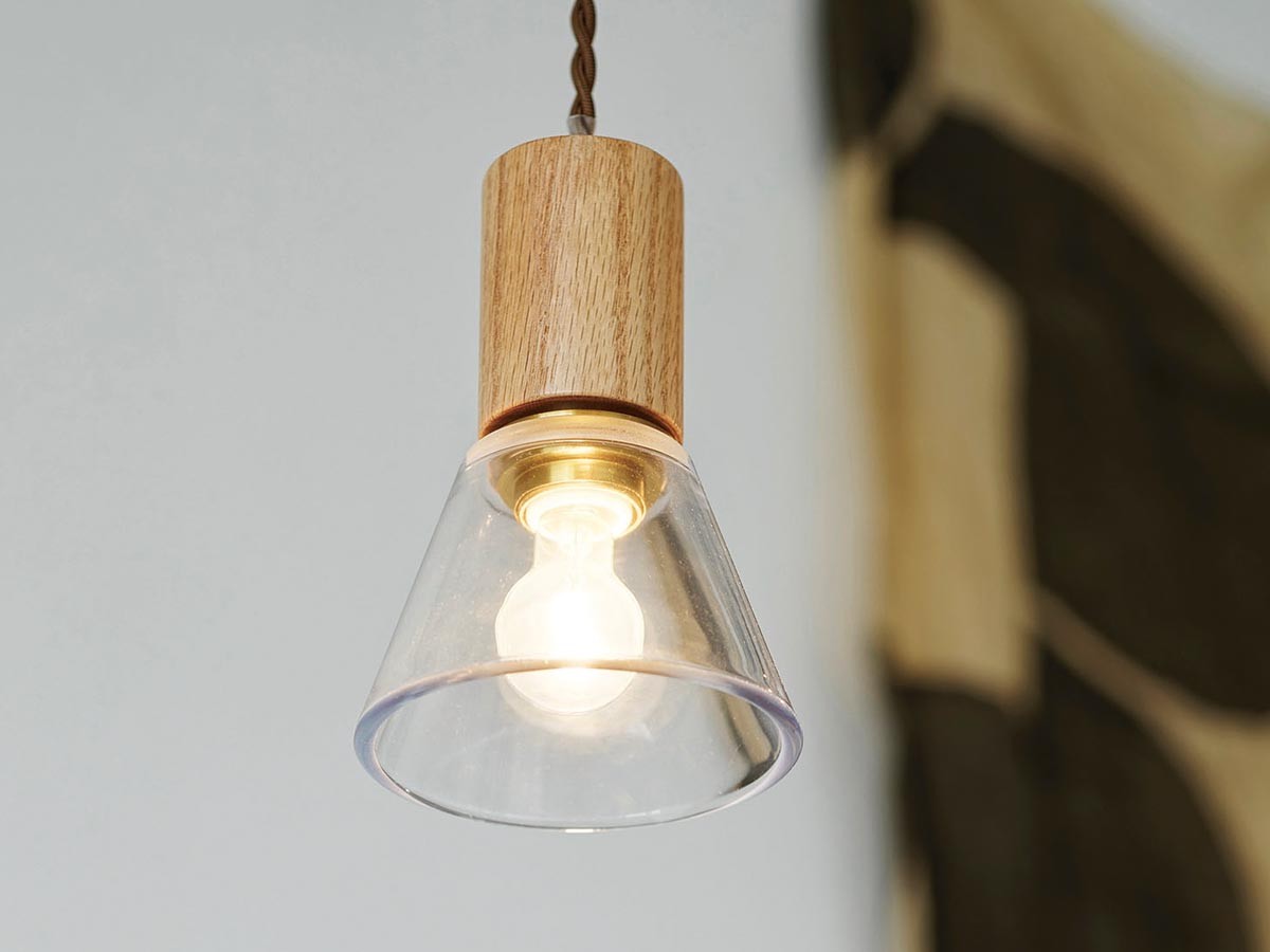Pendant Light / ペンダントライト #120003 （ライト・照明 > ペンダントライト） 13