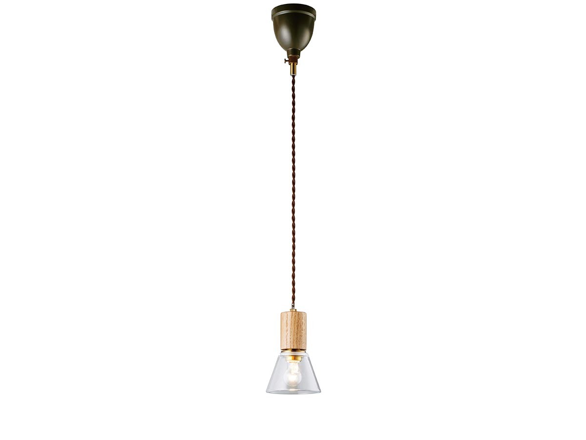 Pendant Light / ペンダントライト #120003 （ライト・照明 > ペンダントライト） 20