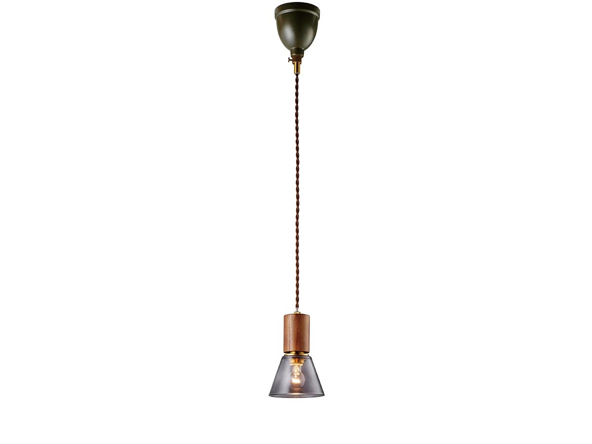 Pendant Light / ペンダントライト #120003 （ライト・照明 > ペンダントライト） 21