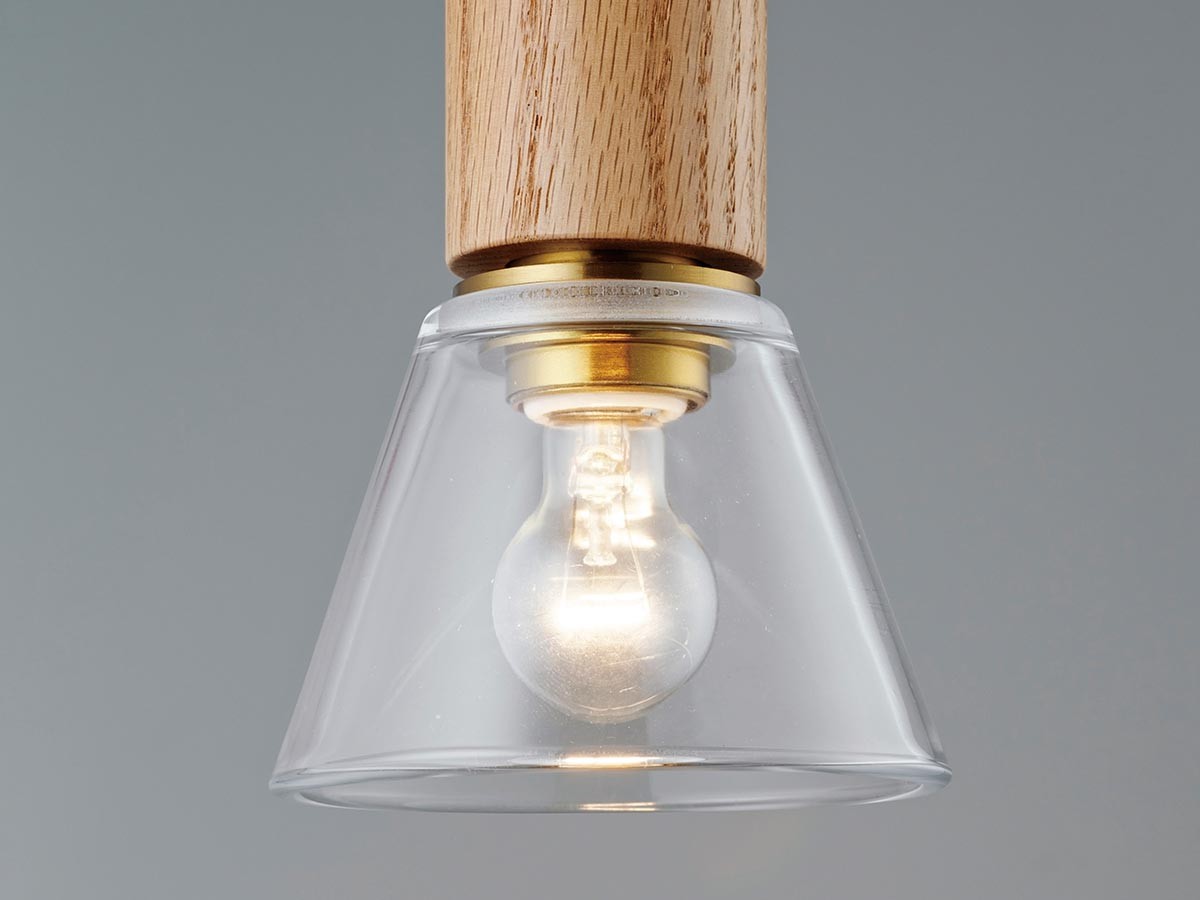 Pendant Light / ペンダントライト #120003 （ライト・照明 > ペンダントライト） 16