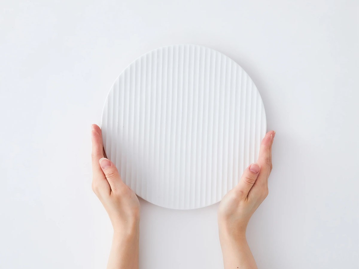 CEKITAY Line Plate / セキテイ せん プレート L（はくさ） （食器・テーブルウェア > 皿・プレート） 9