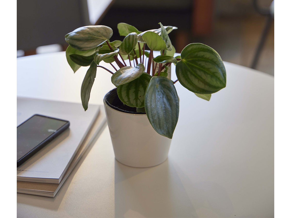 SWITCH UDJ Table / スウィッチ UDJ テーブル （テーブル > カフェテーブル） 7