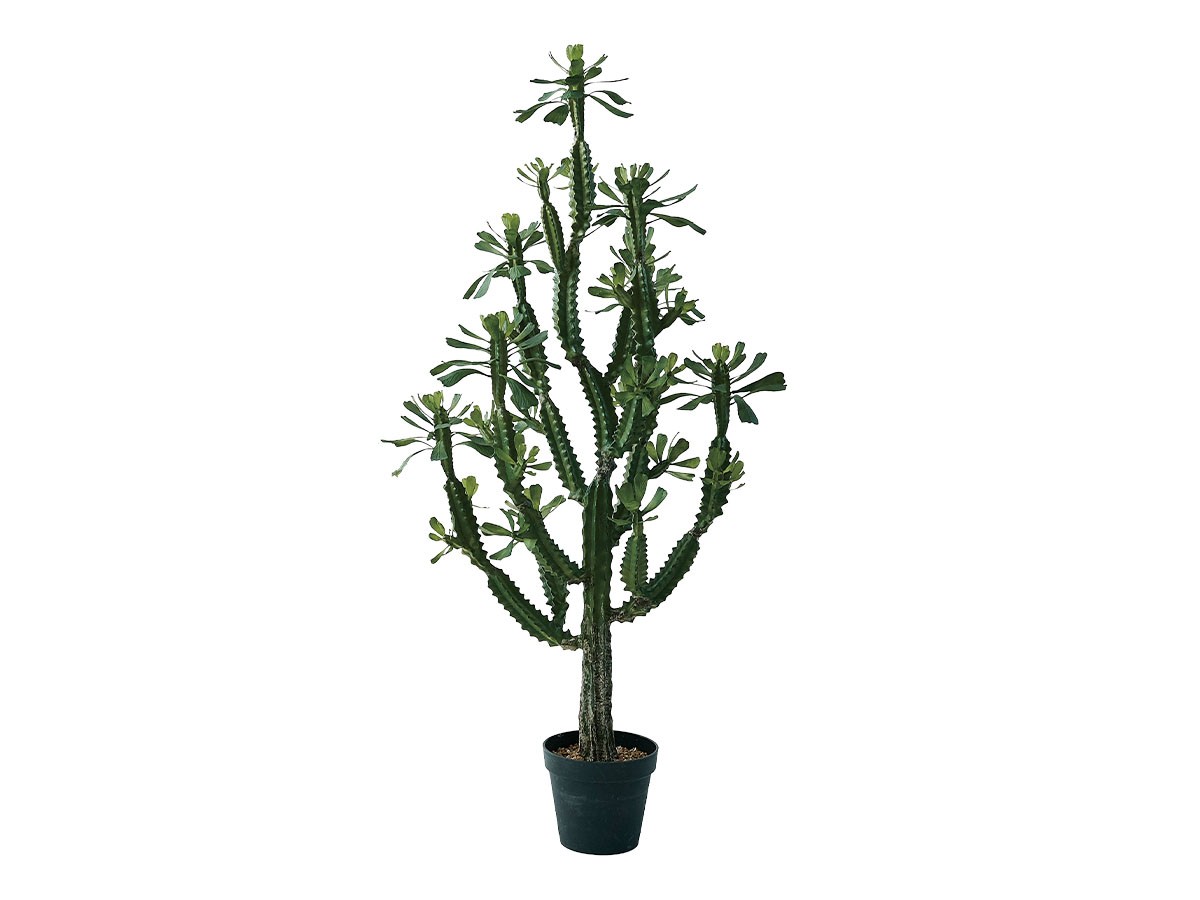 BROWN Euphorbia Pot / ブラウン ユーフォルビア ポット 147 (花器・プランター・グリーン > フェイクグリーン・フェイクフラワー) 1