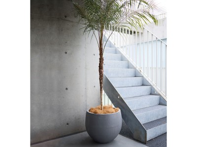 KONTON MAGNUS / コントン マグナス オーブ - インテリア・家具通販