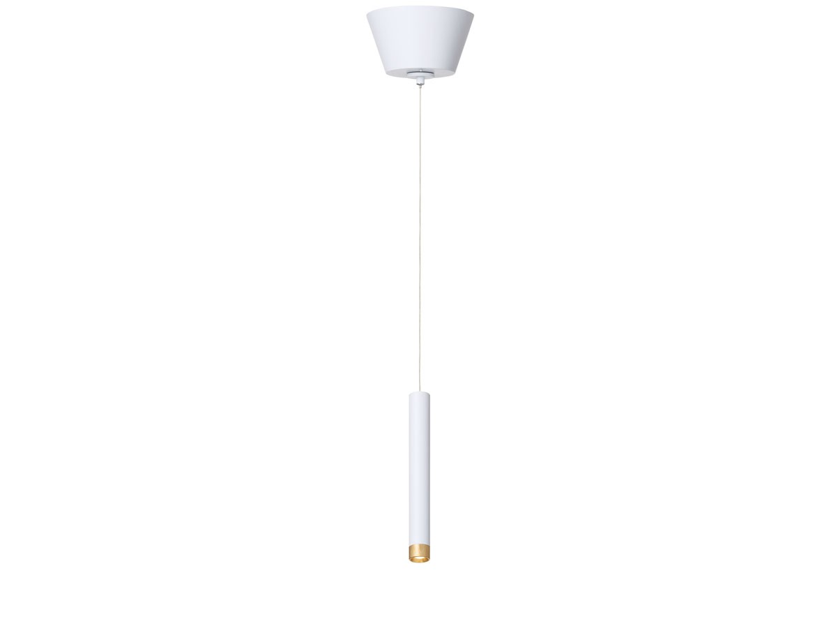 LED Pendant Light / LED ペンダントライト #119899 （ライト・照明 > ペンダントライト） 2