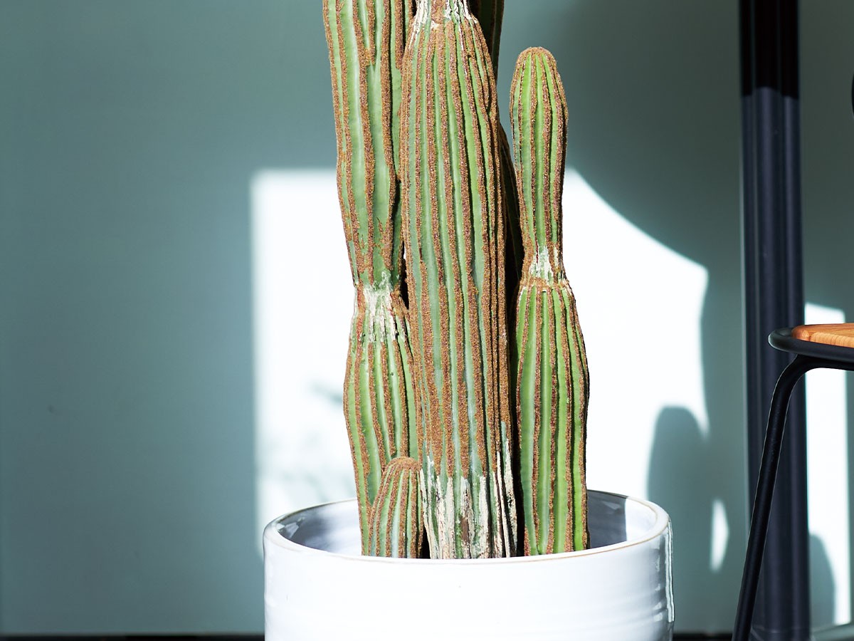 BROWN Column Cactus Pot / ブラウン 柱サボテン ポット 91 （花器・プランター・グリーン > フェイクグリーン・フェイクフラワー） 4