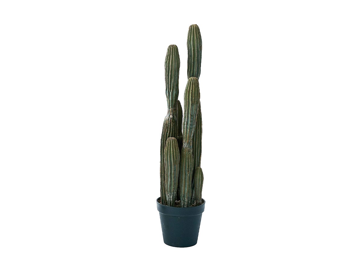 BROWN Column Cactus Pot / ブラウン 柱サボテン ポット 91 (花器・プランター・グリーン > フェイクグリーン・フェイクフラワー) 1