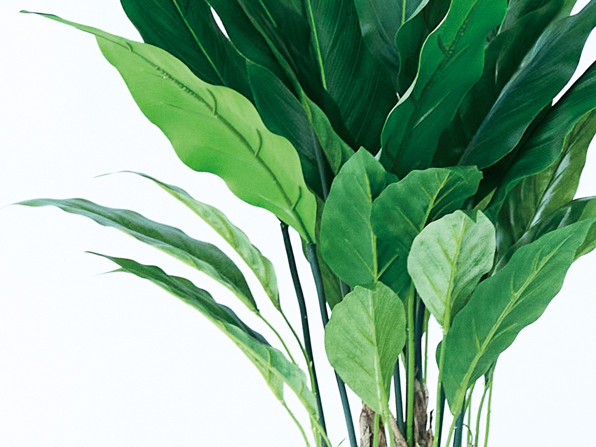 BROWN Spathiphyllum Pot / ブラウン スパティフィラム ポット 60 （花器・プランター・グリーン > フェイクグリーン・フェイクフラワー） 4