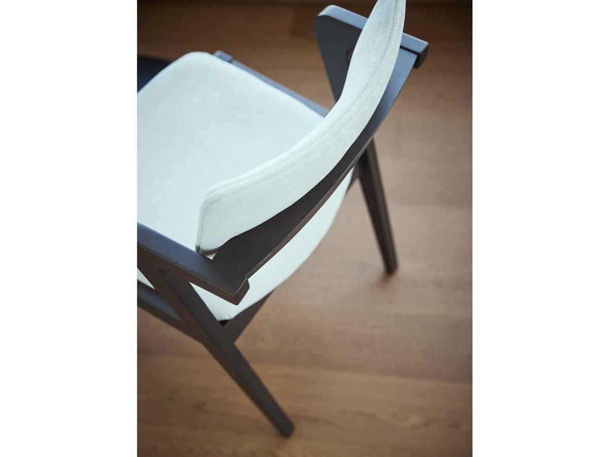 ABORD ARM CHAIR / アボール アームチェア W016 （チェア・椅子 > ダイニングチェア） 10