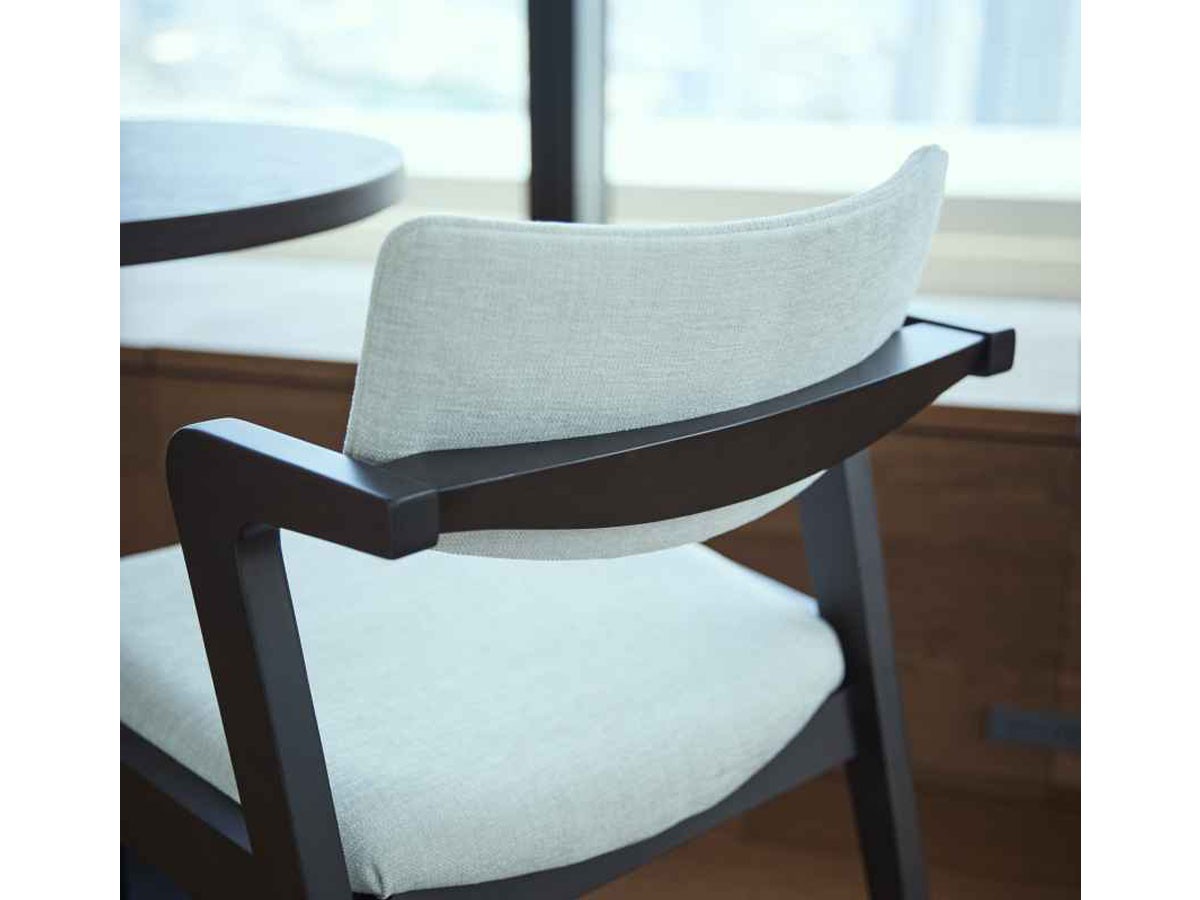 ABORD ARM CHAIR / アボール アームチェア W016 （チェア・椅子 > ダイニングチェア） 9