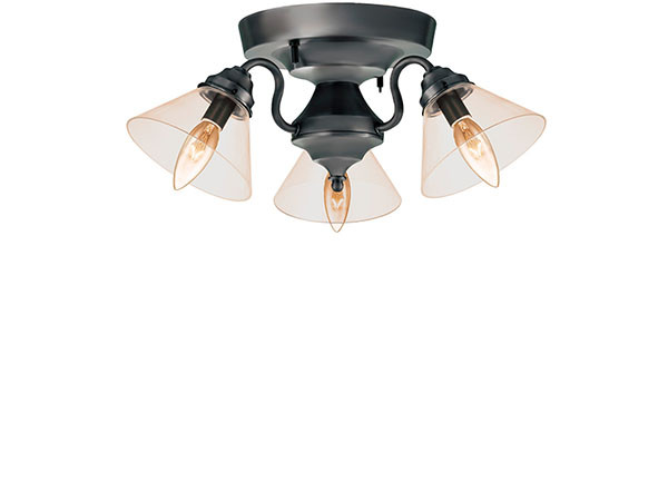 CUSTOM SERIES
3 Ceiling Lamp × Trans Mini 2