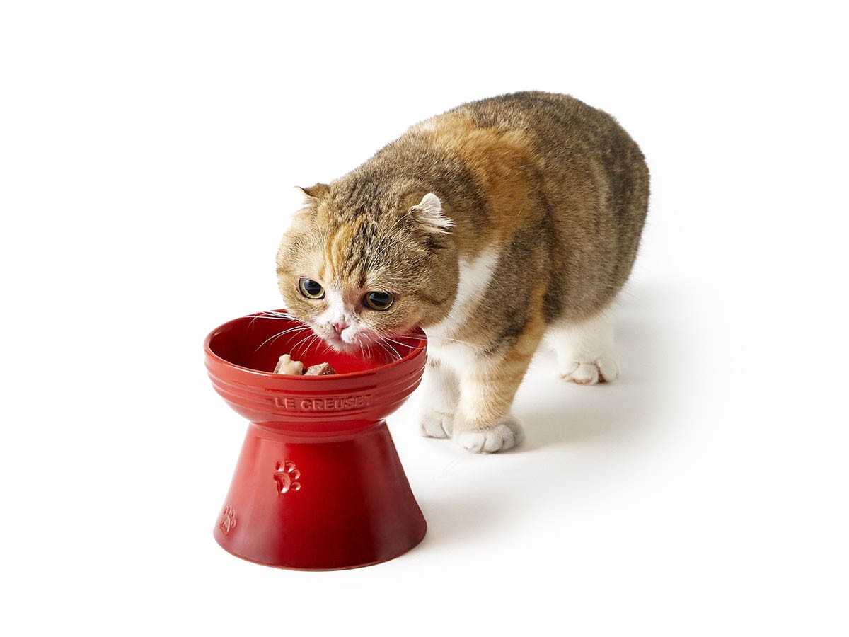 Le Creuset High Stand Pet Bowl / ル・クルーゼ ハイスタンド・ペットボール （雑貨・その他インテリア家具 > ペット用品・家具） 2