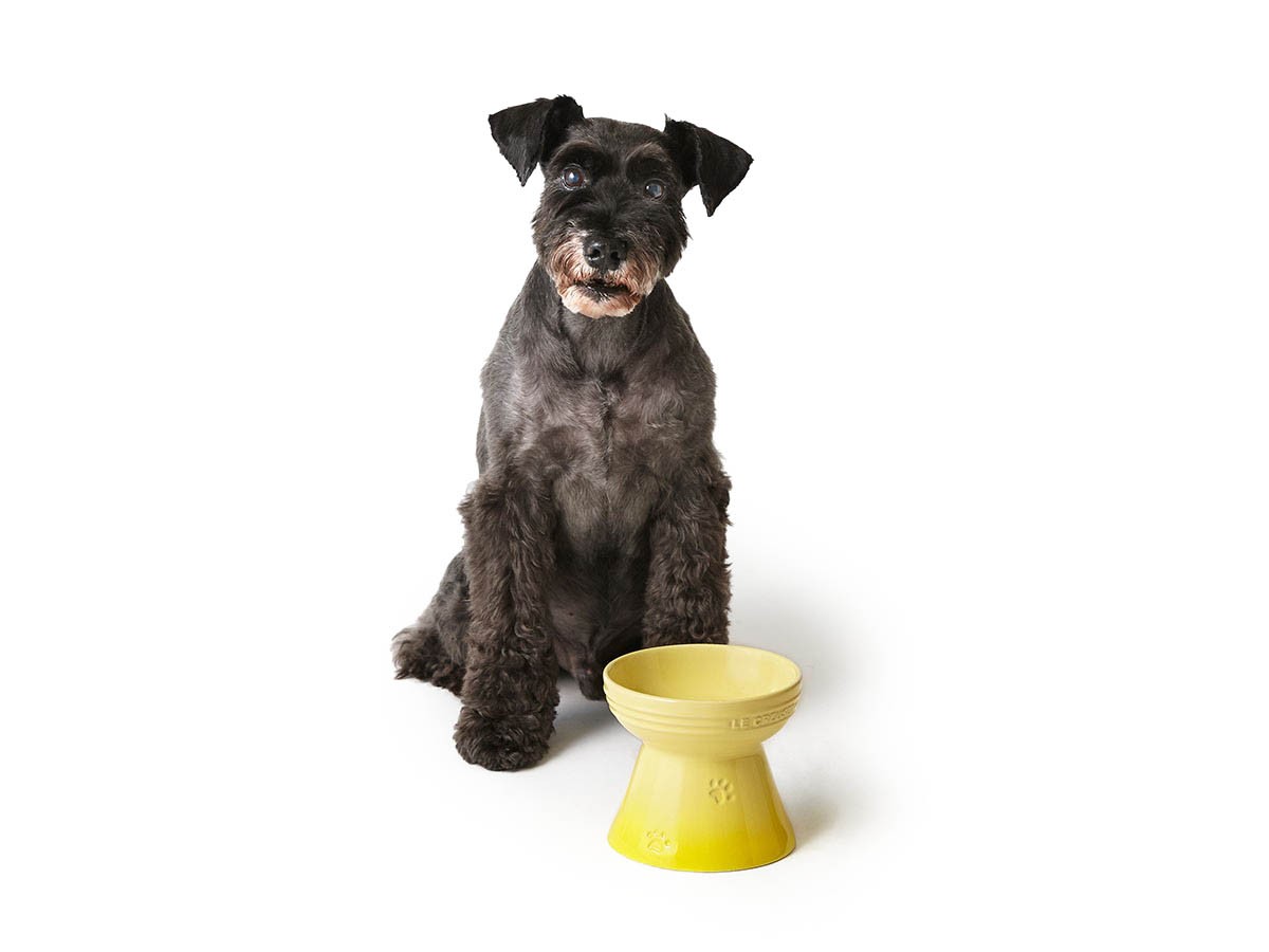 Le Creuset High Stand Pet Bowl