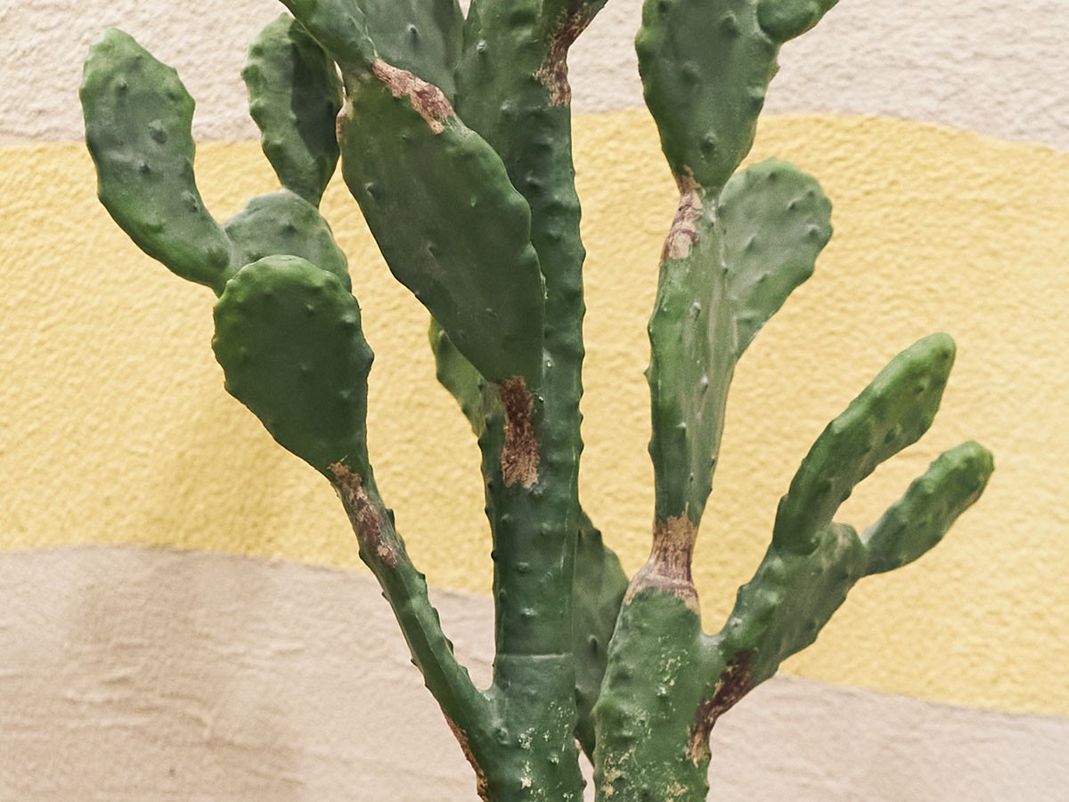 BROWN Prickly Pear Cactus Pot / ブラウン ウチワサボテン ポット 100 （花器・プランター・グリーン > フェイクグリーン・フェイクフラワー） 5