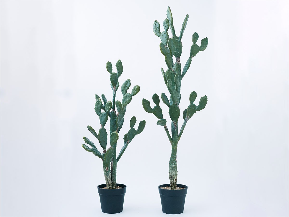 BROWN Prickly Pear Cactus Pot / ブラウン ウチワサボテン ポット 100 （花器・プランター・グリーン > フェイクグリーン・フェイクフラワー） 6