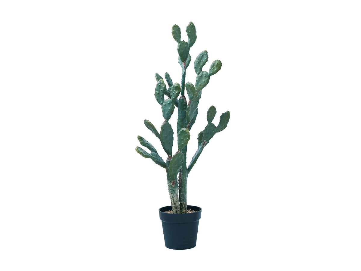 BROWN Prickly Pear Cactus Pot