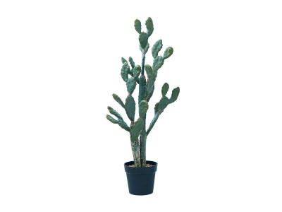 BROWN Prickly Pear Cactus Pot / ブラウン ウチワサボテン ポット 100