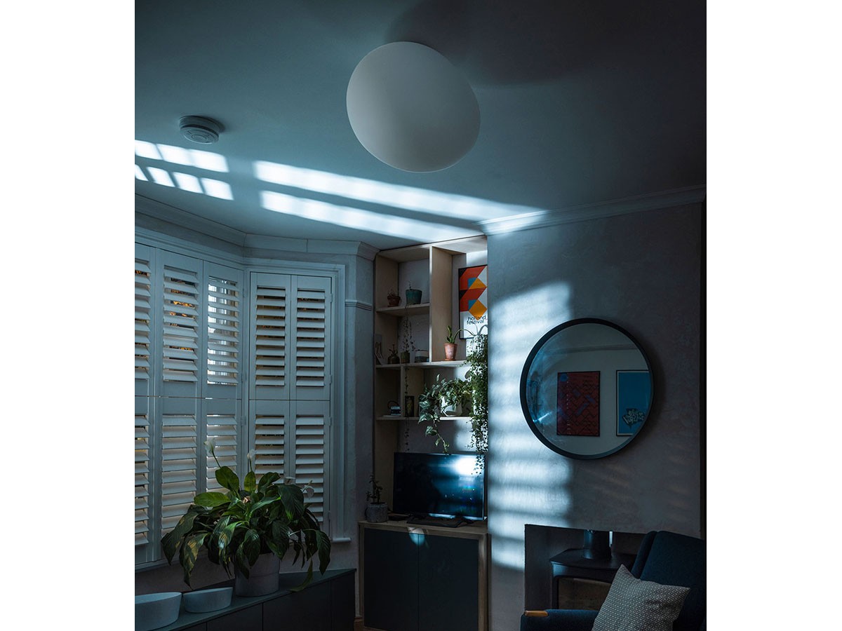 FOSCARINI Gregg Wall / Ceiling / フォスカリーニ グレッグ ウォール / シーリング （ライト・照明 > シーリングライト） 10