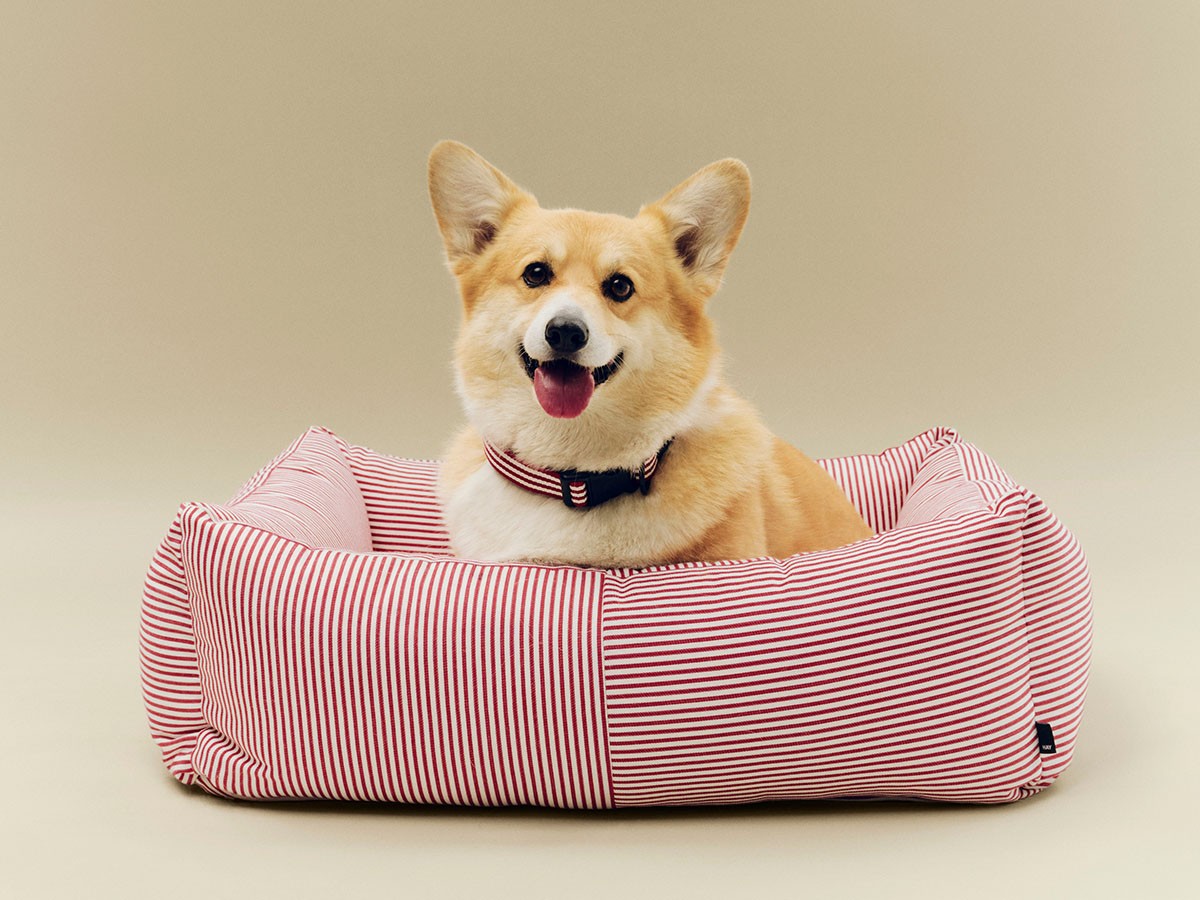 HAY HAY DOGS BY HOLLY GOLIGHTLY
DOGS BED ZIP MEDIUM / ヘイ ヘイ ドッグ コレクション
ドッグベッド ジップ M（レッド & ホワイトストライプ） （インテリア雑貨 > ペット用品） 2