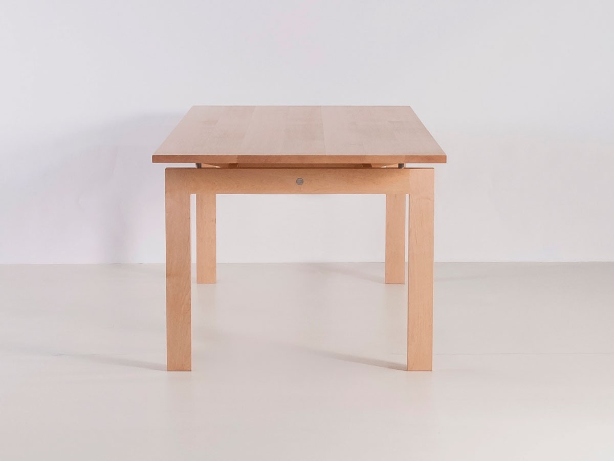 Forest Dining Table / フォレスト ダイニングテーブル （テーブル > ダイニングテーブル） 12