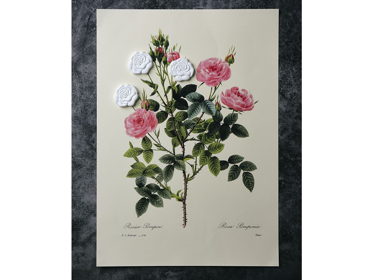 BALLON AROMA ORNAMENT for Drawer
Rose / バロン アロマオーナメント フォー ドロワー
ローズ （インテリア雑貨 > ルームフレグランス） 4