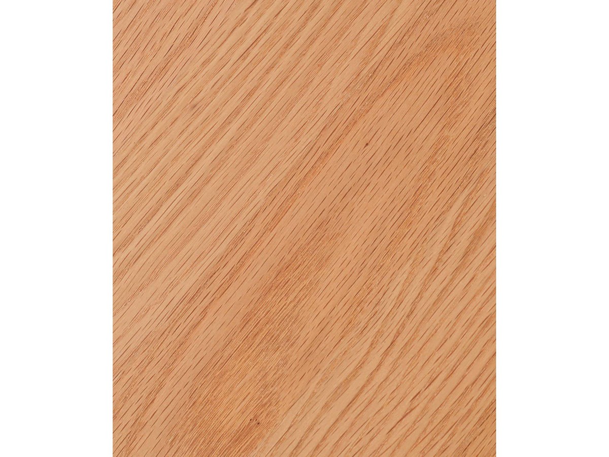 JOURNAL STANDARD FURNITURE BRITZ CHAIR / ジャーナルスタンダードファニチャー ブリッツ チェア （チェア・椅子 > ダイニングチェア） 31
