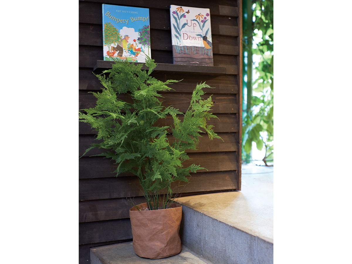 BROWN Asparagus Pot / ブラウン アスパラガス ポット 90 （花器・プランター・グリーン > フェイクグリーン・フェイクフラワー） 2